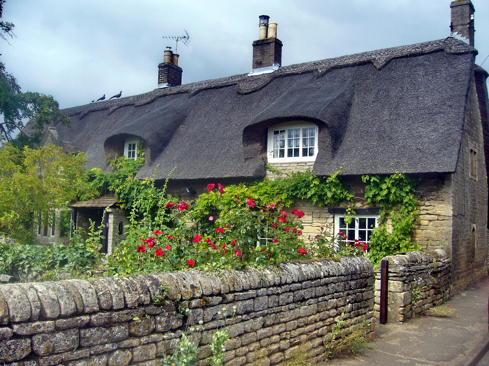Stamford